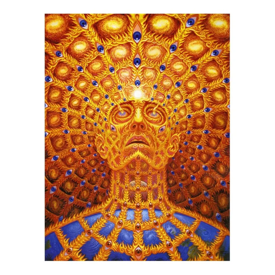 Trippy Alex Grey Painting Poster Print Home Decor Framed Or Unframed Popaper Material220K