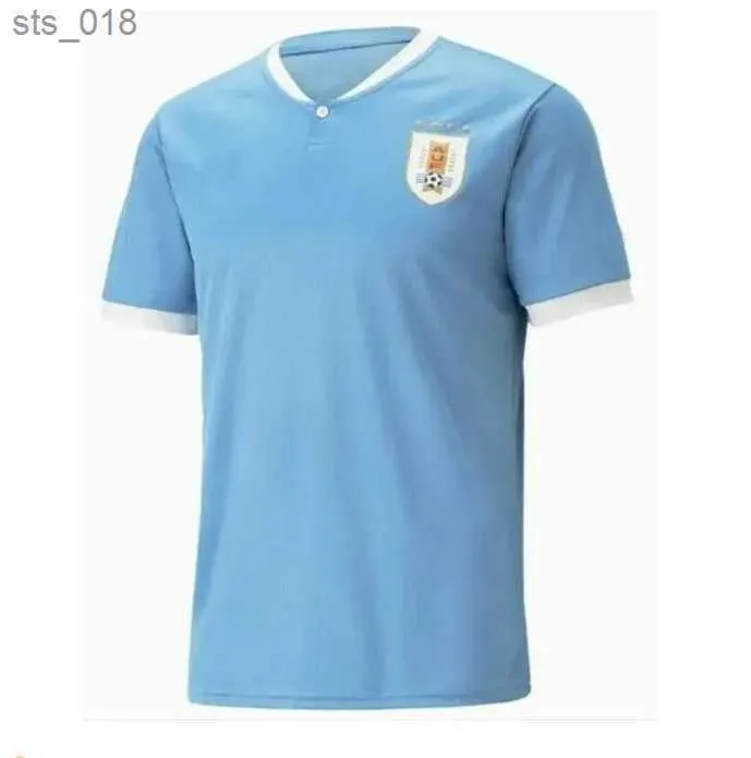 Fans Tops Uruguay Soccer Jersey 23/2024 L.SUAREZ E.CAVANI N.DE LA CRUZ national team Shirt G.DE ARRASCAETA F.VALVERDE R.ARAUJO R.BENTANCUR Football UniformH240313