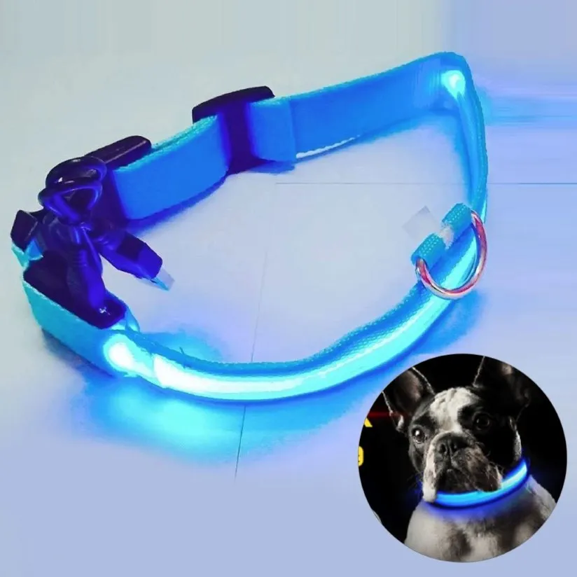 2019 USB-laddning LED Dog Collar Anti-Lost Undvik bilolycka Krage för hundar Valpar Leds LED-leveranser Pet Products S M L XL284F