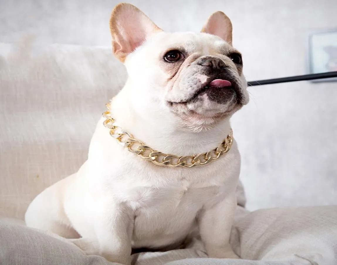 Hip Hop Teddy Fadou Dog Big Gold Chain Small and Medium Dog Collar Pet Necklace Cat Accessories 4 Color T2I518606052512