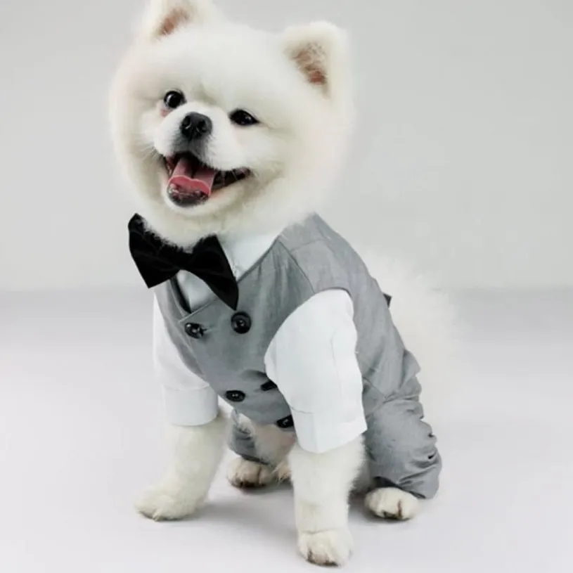 Abbigliamento per cani Pet Wedding Birthday Party Costume Tuxedo Suit per gilet formale di piccola taglia media taglia grande con papillon Gentleman252t