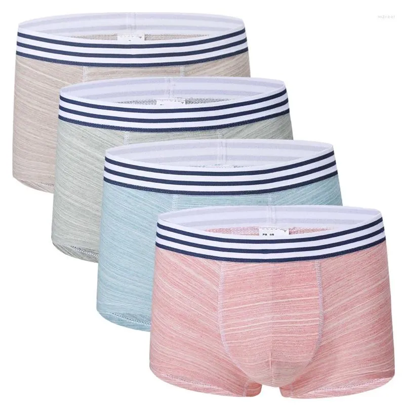 Underpants 4pcs/lot Men Boxer Cotton Soft Hombre Young Boys Colored Striped Men's Underwear Boxers Shorts