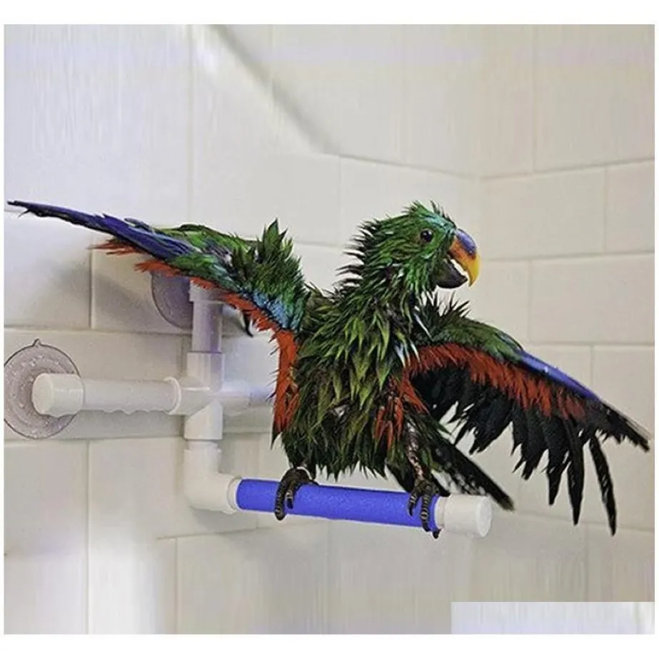 Inne zaopatrzenie ptaków Parrot Bath Prysznica stojąca stojak na stojak na Parrot Papugi i gryzienie pułapki Parakeet Bir Qylvfn BDESPORTS2859