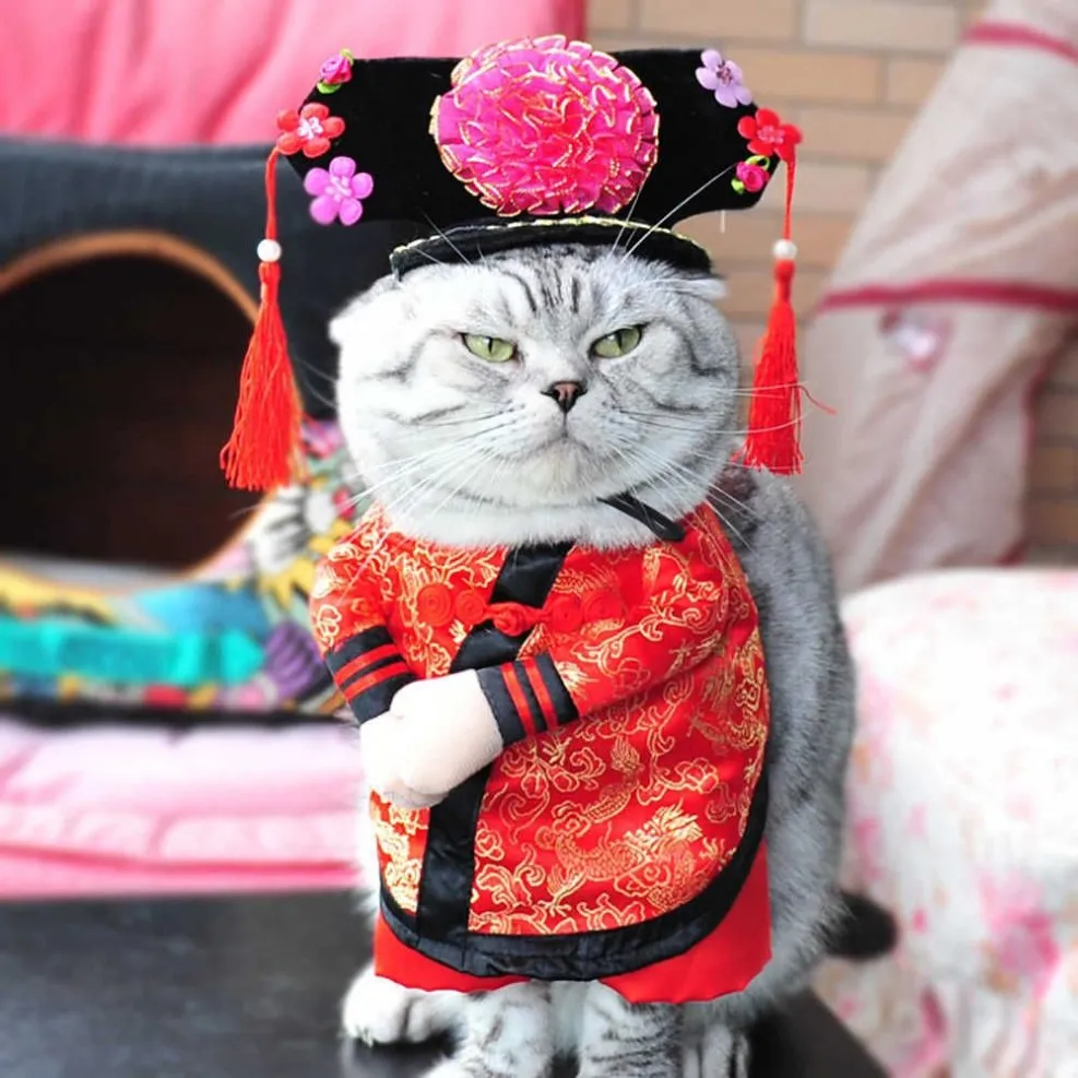 Engraçado chinês princesa cosplay roupas gatos traje de halloween para cães terno de natal roupas de gato roupa de cachorro pet apparel253g