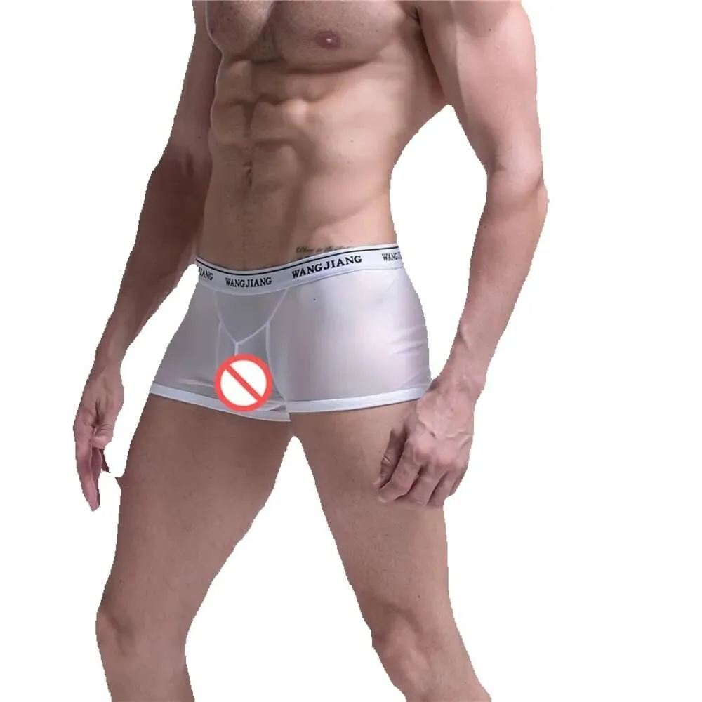 B Mesh Heren Sexy Ademend Hol B Fun Underpants Out See Through Boxershorts Homo Erotisch Comfort Ondergoed Transparant Heren Boxersshor GG reathable oxer oxersshor