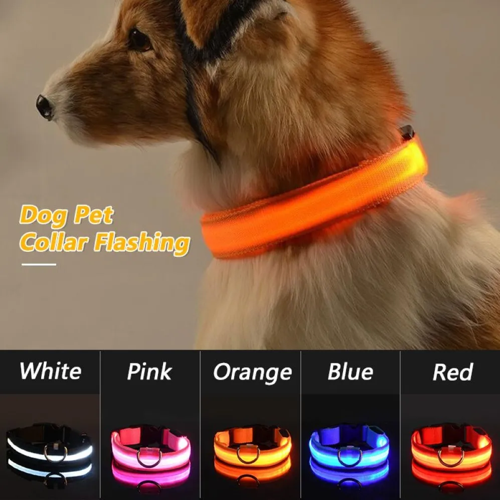 Collier LED Rechargeable par USB pour chien et animal de compagnie, lumineux clignotant, éclairage de sécurité, en Nylon, Anti-perte, pour chiot, 245d