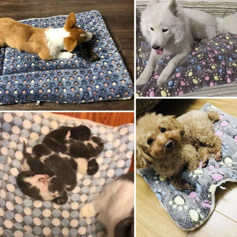 Pet Dog Houses Cat Thickening Flannel Winter and Autumn Mat Pad Double Sided Dog Sleeping Floor Mats Blanket Anti-slip Cushion259Y