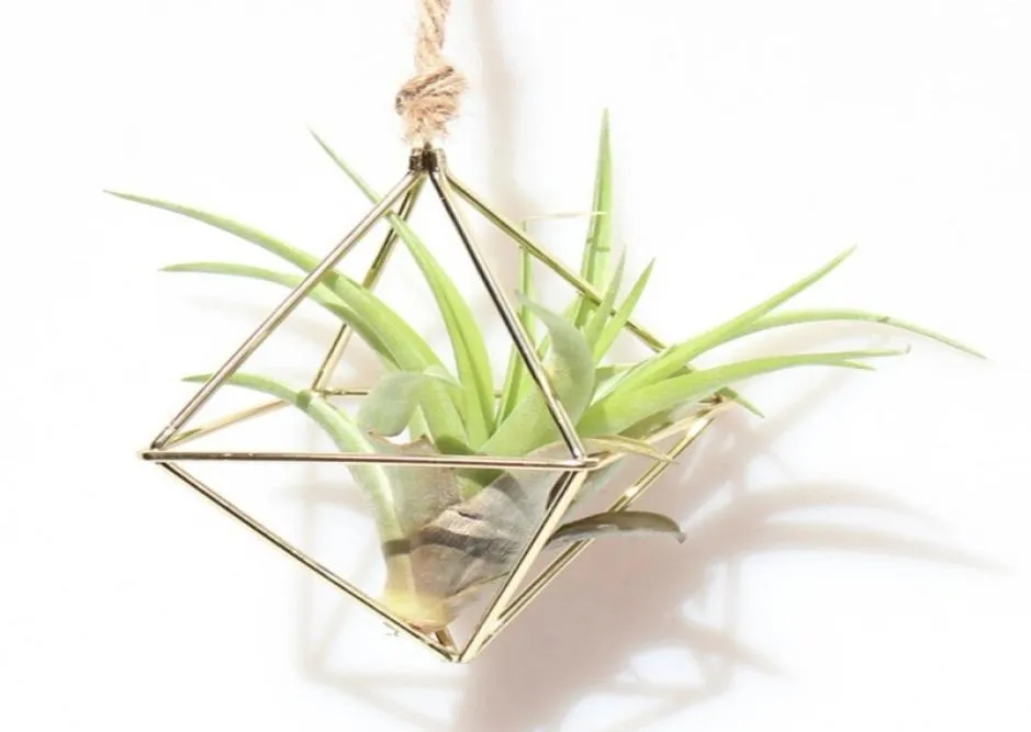 air plant holder Suspendu Tillandsia Air plantes support métal géométrique fer Art fleur planteur Pot accessoires de jardinage bureau à domicile 1086898