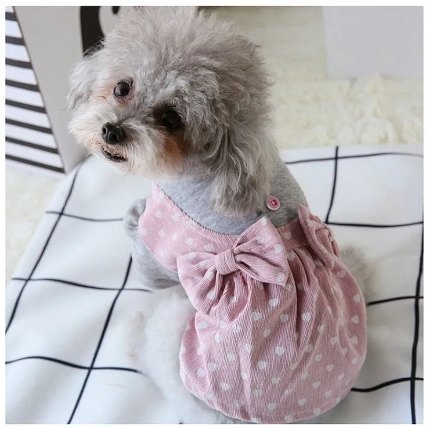 Big Bows Princesse Chien Vêtements Chihuahua Hiver Automne Automne Amour Pet Robes XS S XXL Petit Moyen Animal Chat Vêtements Fournitures309s