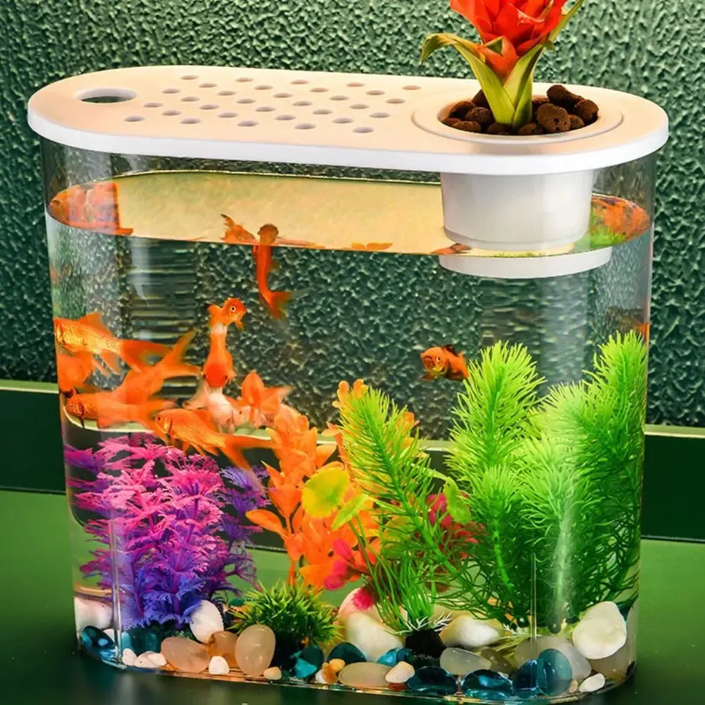 Mini Aquarium Aus Kunststoff – 700 Ml, Transparent, Unzerbrechlich, Multifunktional Als Fischglas, Vase, Partydeko Oder Süßigkeitenständer