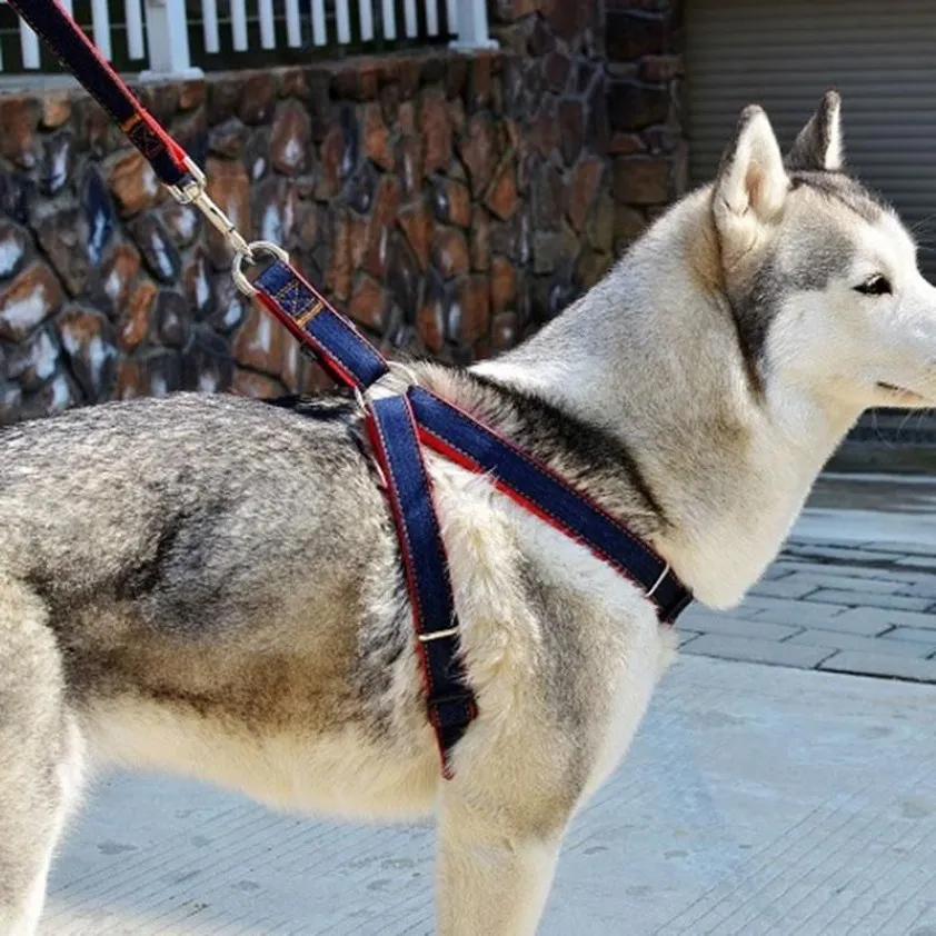 子犬の犬のハーネスと鉛セットカウボーイトラクションロープストロングロープリーシュ犬コラルティディーペットサプリエスマル大型犬ハーネス237x