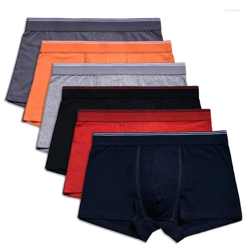 MUITOPANTES 6PCS/LOT Men Boxers Shorts Roupa Roupa Men Gay Boxer Ropa Interior Sexy Trunks Confortável Macho respirável