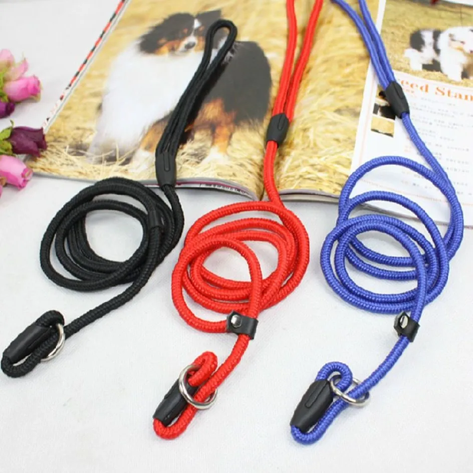 Nylon Dog Training Leash Dogs P Chain Slip Collar Walking Leads Rope S M L For Small Medium Breeds Chihuahua Teddy206O