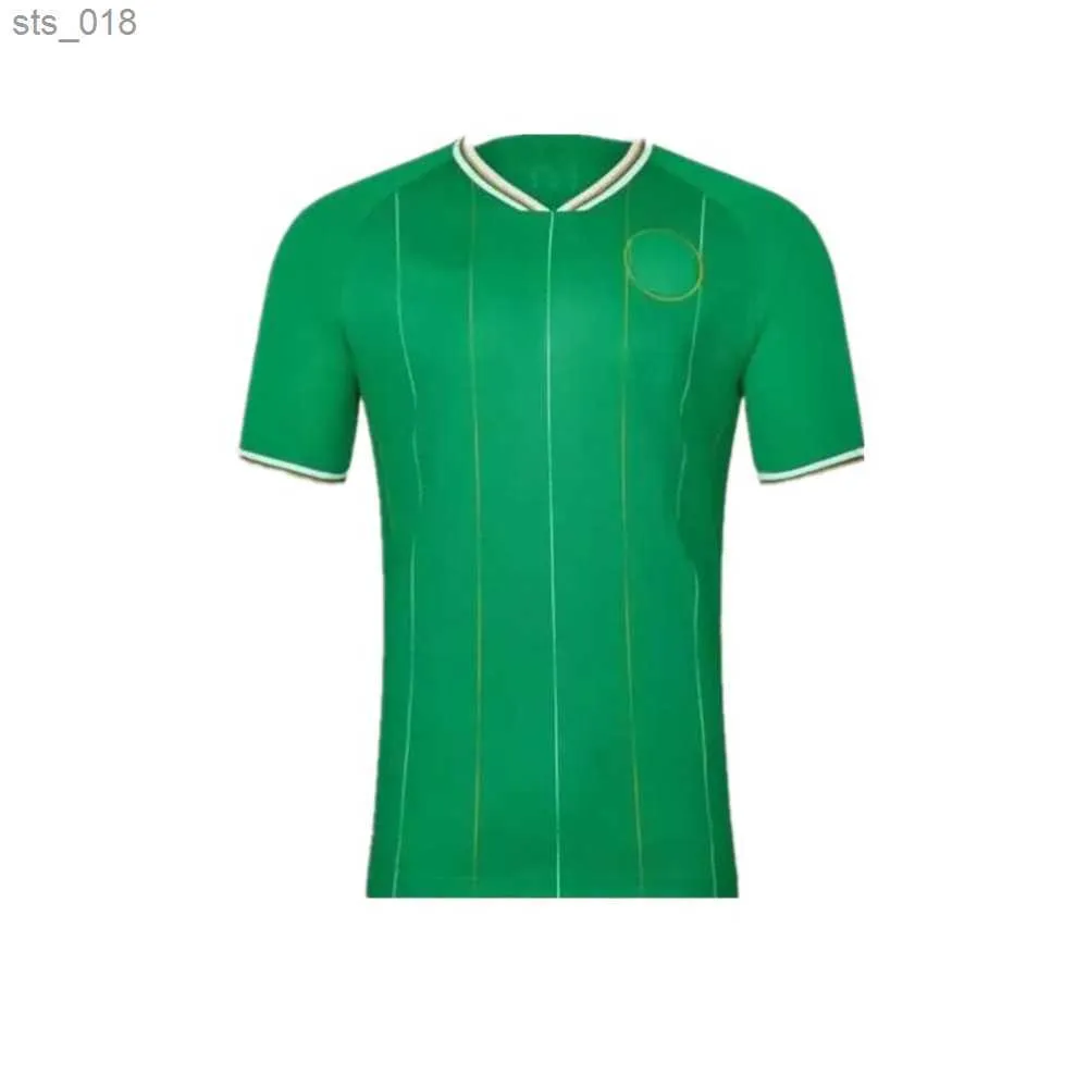 Tifosi Top Maglie da calcio / 24 Home Irlanda kit da casa DOHERTY DUFFY Euro National Team BRADY KEANE McCABE Maglia da calcio per bambini uniformeH240312