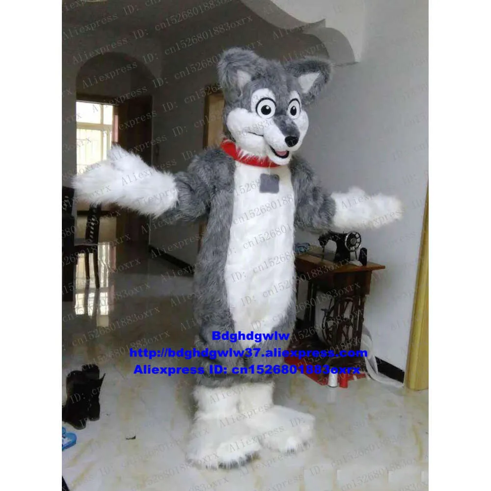 Costumi mascotte Pelliccia lunga Furry Lupo grigio Volpe Cane Husky Fursuit Costume mascotte Personaggio dei cartoni animati per adulti Alla moda Morden Matrimonio Matrimonio Zx138