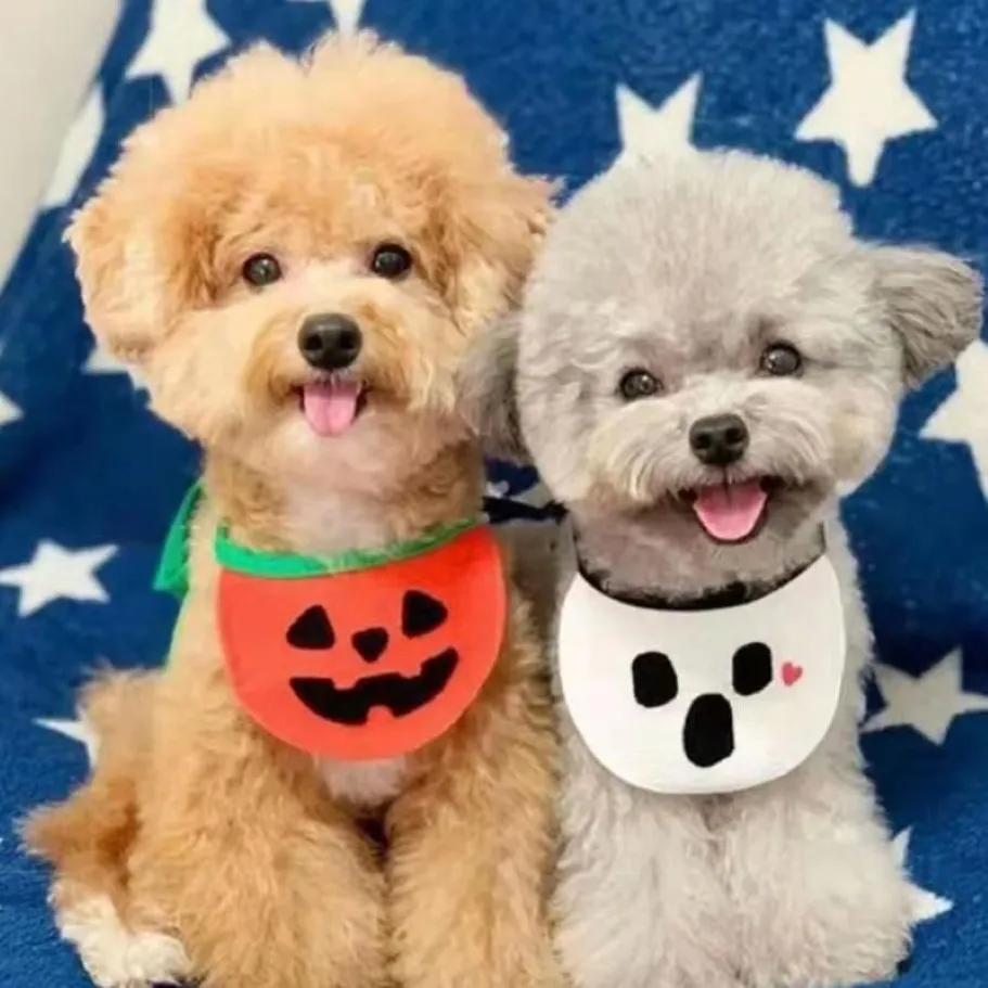 Abbigliamento per cani Fazzoletto da collo per animali domestici Asciugamano per saliva Simpatico orso Halloween Sciarpa a triangolo lavorato a maglia Accessori per collare per gatti222b