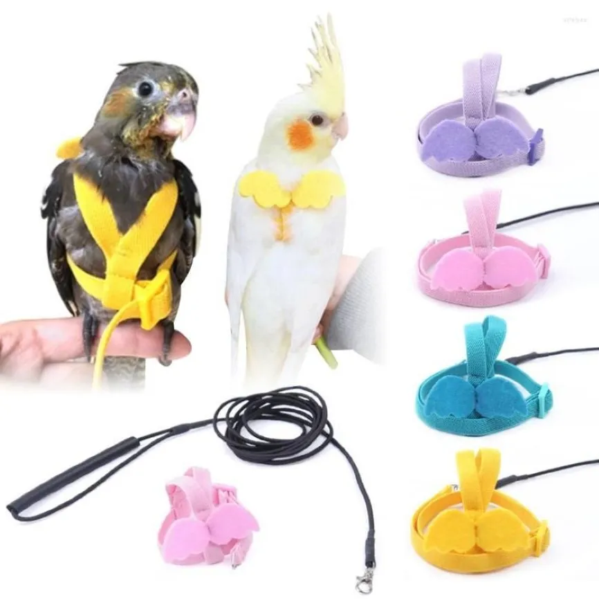 Outros suprimentos de pássaros 1 peça Parrot Harness Leash Set Papagaios Ajustáveis ​​Ao Ar Livre Voando Corda Treinamento Anti-Bite para Cockatiel Small302w