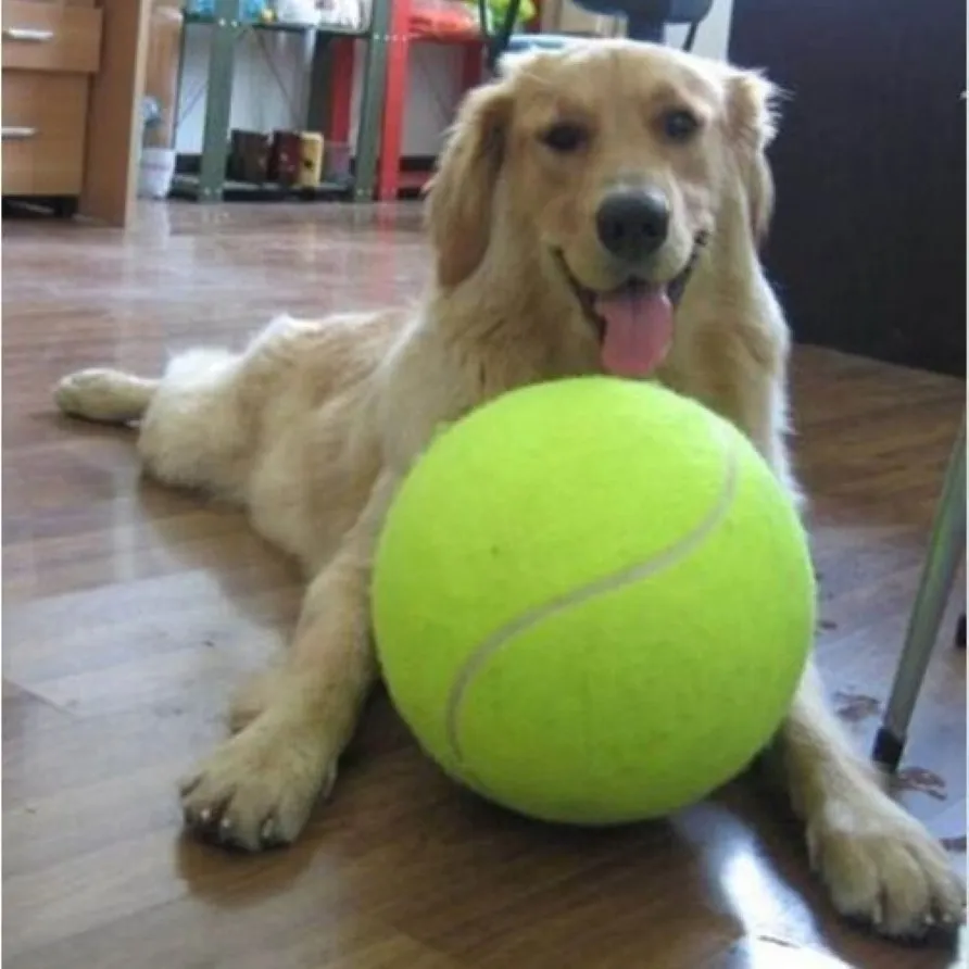 Pelota de tenis gigante de 24CM para juguete masticable para mascotas, pelota inflable grande con firma Mega Jumbo, suministros de pelota de juguete para mascotas, Cricket1998 al aire libre