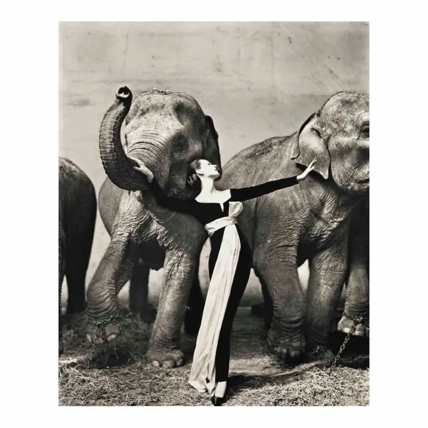 Ричард Аведон Dovima со слонами вечернее платье плакат живопись домашний декор в рамке или без рамы Poppaper Material2581