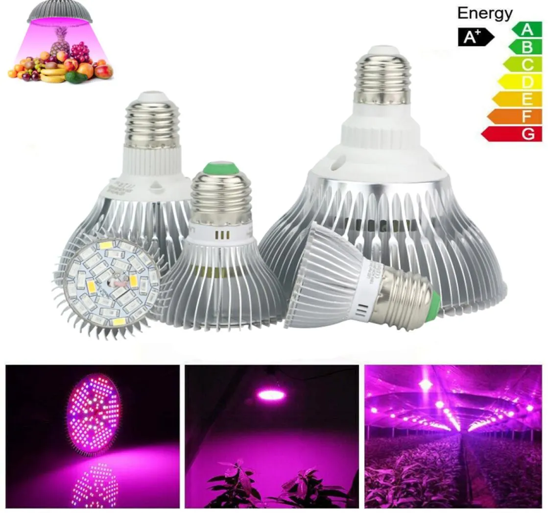 E27 Led Grow Light 6W 10W 30W 50W 80W LED a spettro completo luci 85265V Lampadine a LED per piante da giardino indoor Flower1927628