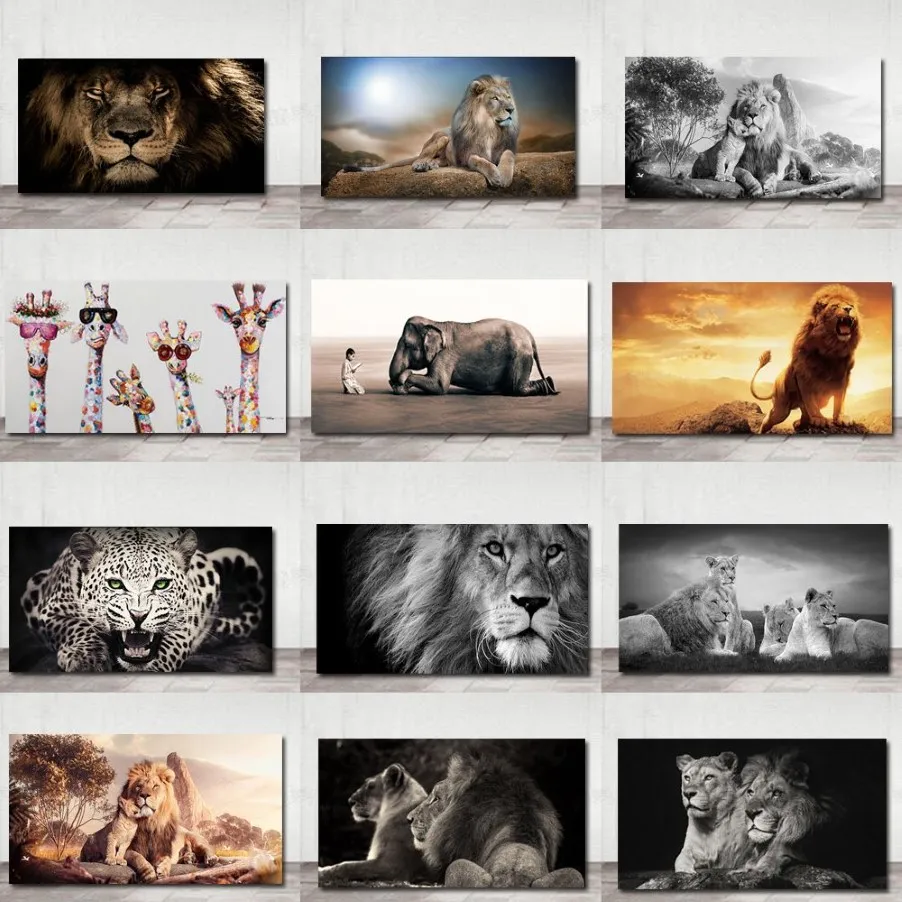 Afrykańskie duże lwa lwowe zwierzęta zmierzą się z płótnie obrazy ścienne plakaty sztuki i drukuje zwierzęta lwy zdjęcia sztuki dla salonu280t