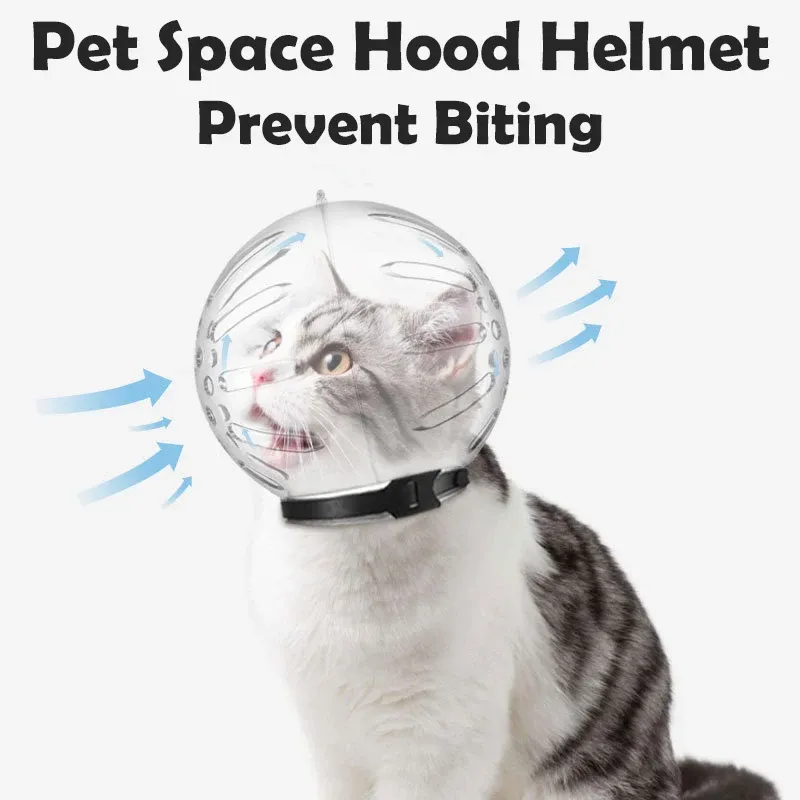 Grooming Breattable Cat Space Hood Plasthjälm Förhindra bett Pet Grooming Cover Mesh för små katter Grooming Supplies Cat Accessories