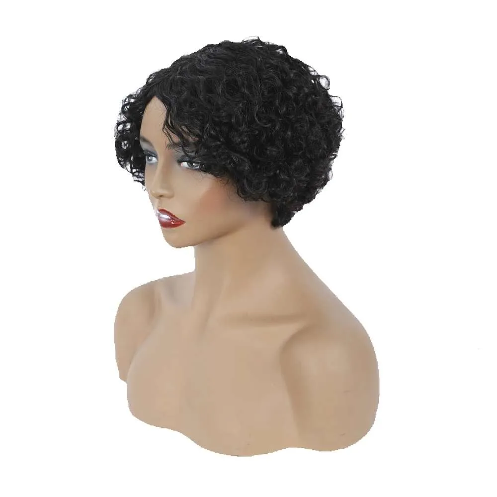 Curly Wig Short Hair Cover Loose Wave Synthetic Wigs Factory GG