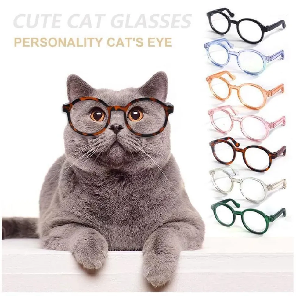 Costumes pour chats, lunettes pour animaux de compagnie, chien Teddy, personnalité drôle, accessoires d'halloween, plastique Transparent, fournitures de décoration mignonnes 206n