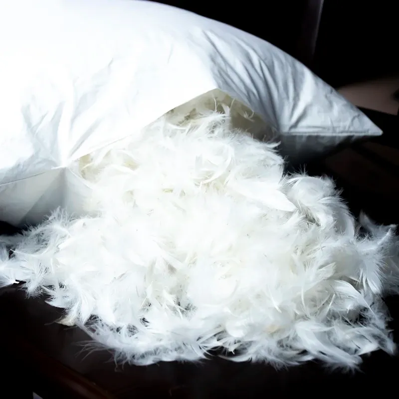 Travesseiro 30x50 40x60 50x50cm 100% algodão de ganso de algodão travesseiro de travesseiro de lance de assento de assento de segurança sentado na cintura para apoio de cama de cama de almofada de almofada de almofada de almofada