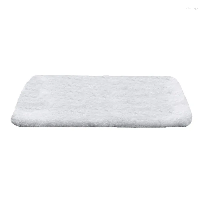 Tapis de bain épaissi salle de bain porte antidérapante sol de toilette absorbant cheveux longs tapis touffeté en microfibre