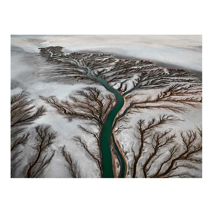 Painting Edward Burtynsky San Felipe Bassa California Messico Pograph Poster Home Decor Framed Or Unframed Popaper Material311a