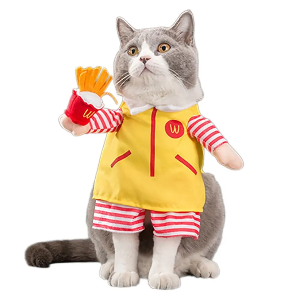 Costumes amusants pour animaux de compagnie, Costume de jeu de rôle de serveur, vêtements d'halloween et de noël pour chiots et chiens, Costume pour cat2590