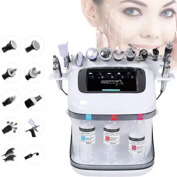 Factory Supply Low Price 10 in 1 Black Pearl Facial Beauty Instrument Integrated Skin Management Beauty Salon Instrument