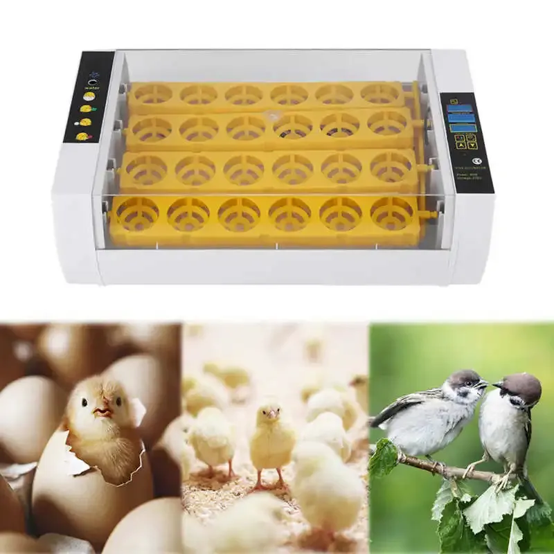 Suministros 24 incubadora de huevos Control de temperatura Digital automática incubadora de huevos de pollo incubadora suministros para animales de granja