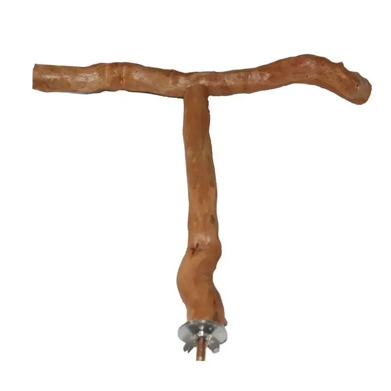 Jouets en bois naturel pour animaux de compagnie, perroquet, fourchette en bois brut, support de branche d'arbre, écureuil oiseau Hamster, perchoirs de branche, jouets à mâcher, bâton