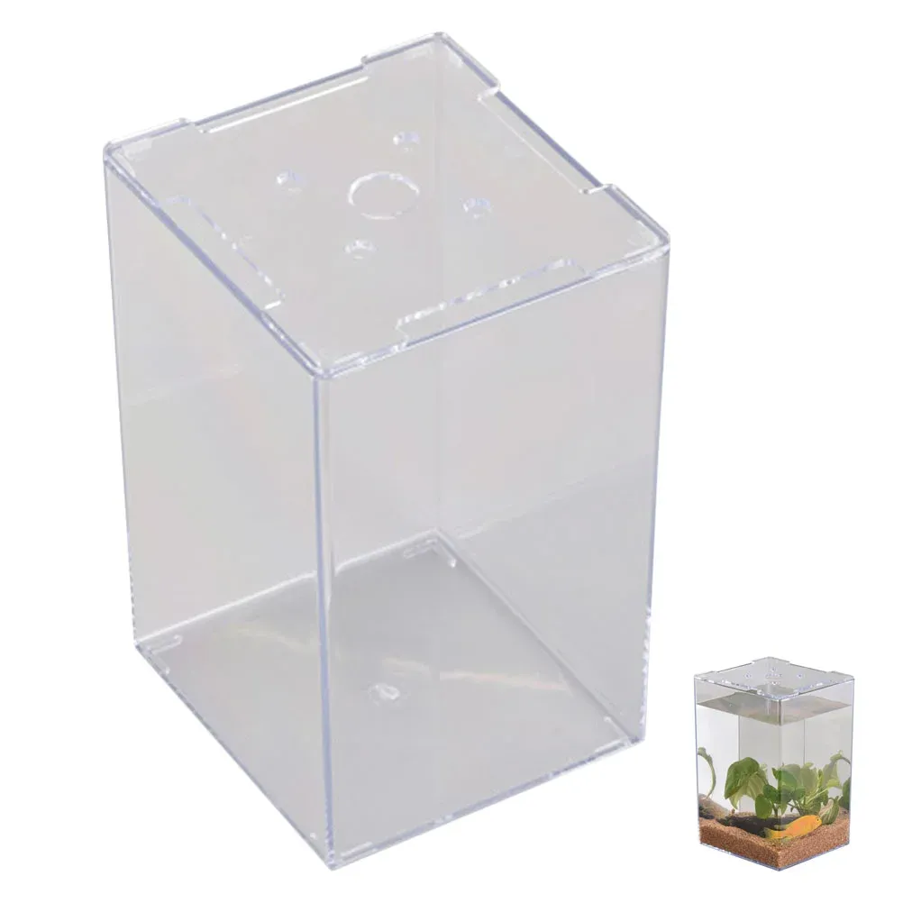 Réservoirs Betta décorations de réservoir poisson décoratif Aquarium bureau petit conteneur acrylique accessoire bêta