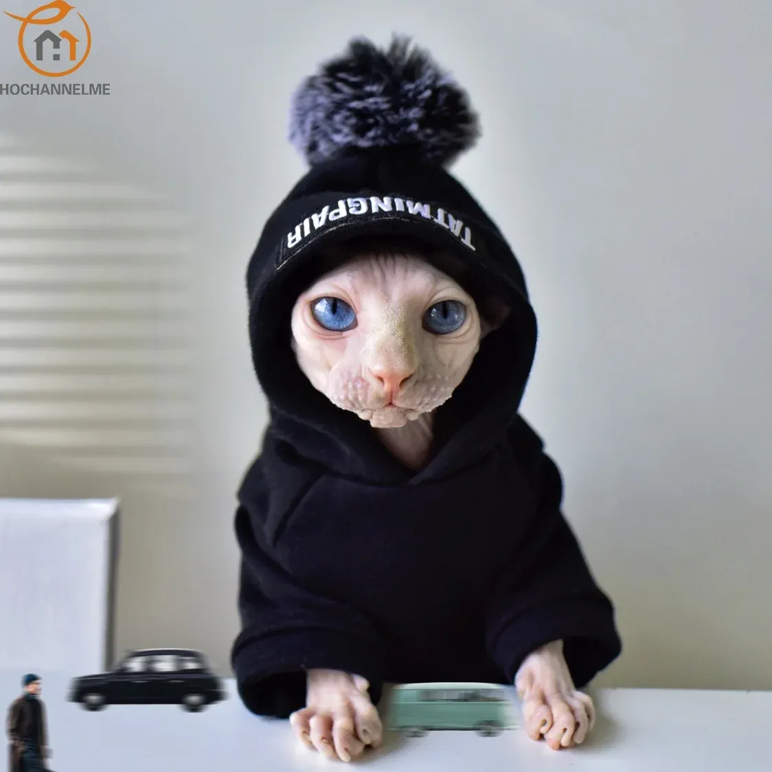 Abbigliamento Pet Cat Maglione con cappuccio addensato caldo per l'inverno Sfinge senza peli Vestiti per gatti Gattino Vestiti per cani di piccola taglia
