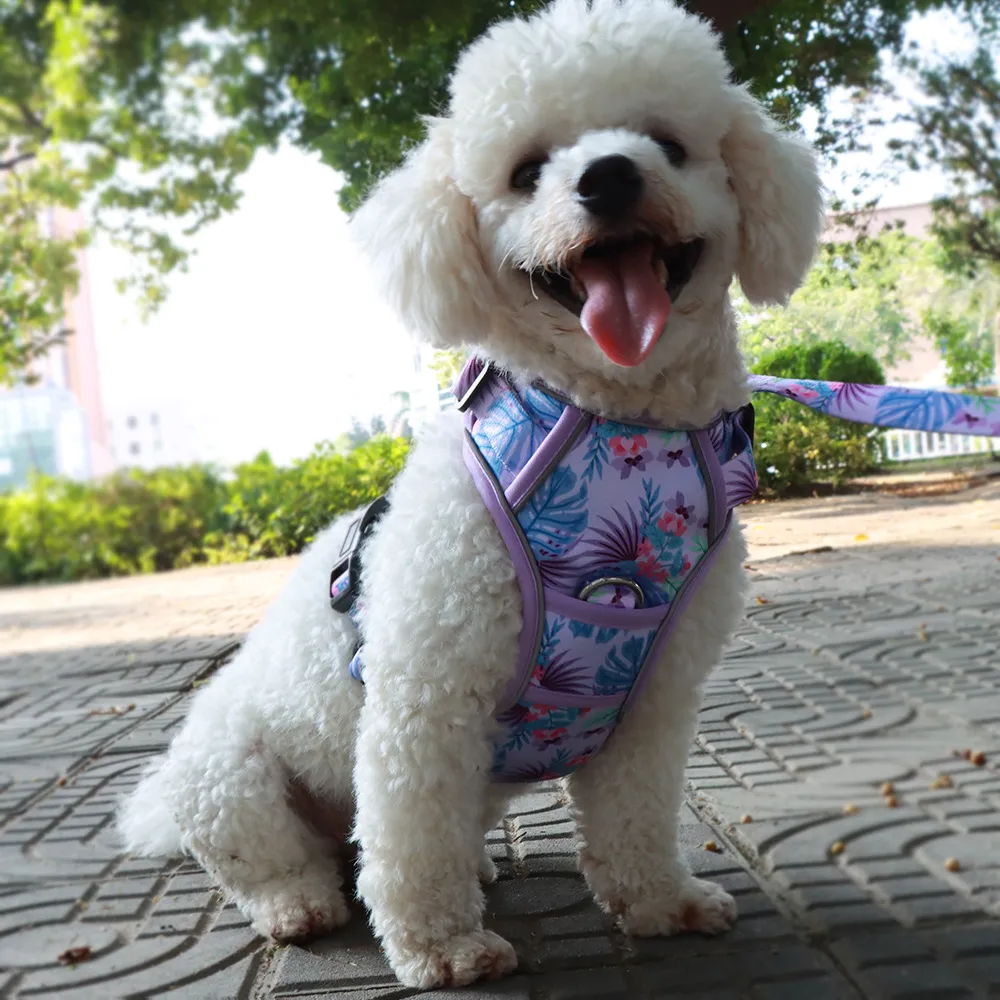 POPOT No Pull Dog Harness - Front Reflective Pet Vest With Control Handle For Daily Training & Walking - Blue Medium | Buy Now With Express International Delivery - Foto 6