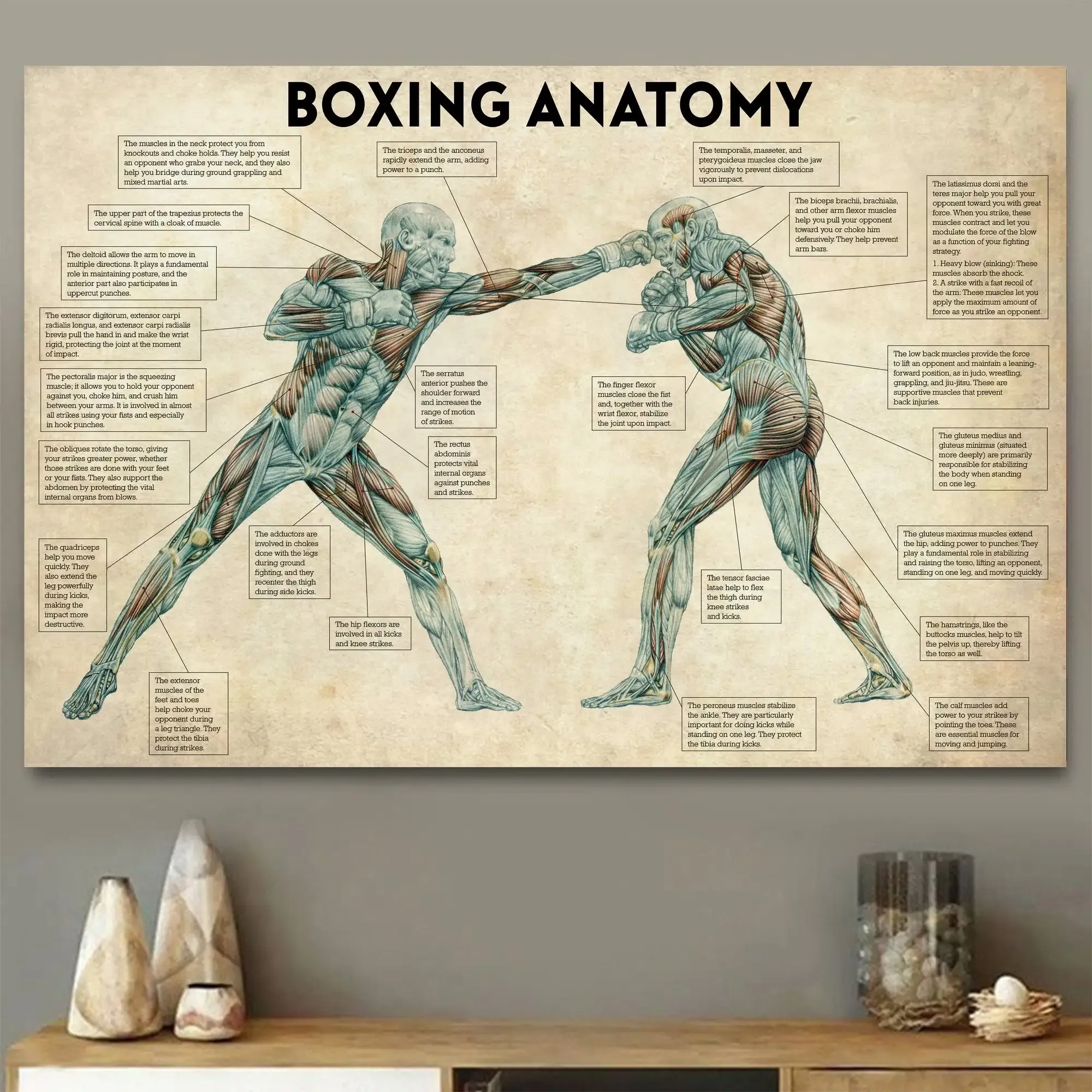 Calligraphy Vintage Boxing Body Anatomy Posters and Prints Wall Art Canvas Painting Boxing Lover Gift for Gym Room Cuadros Home Decoration