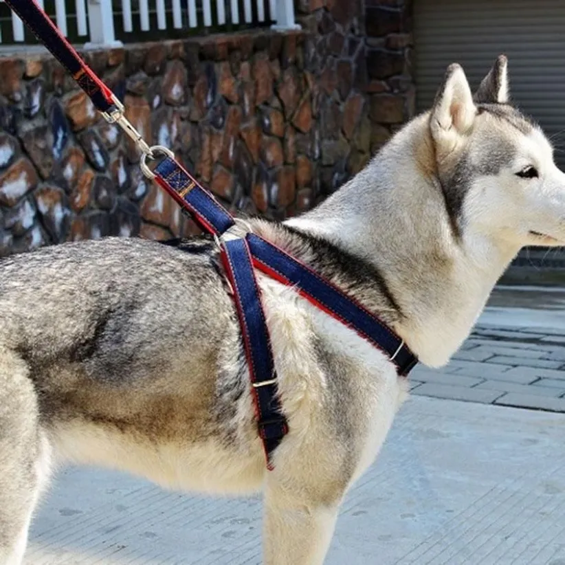 Welpen-Hundegeschirre und Leine-Set, Cowboy-Traktionsseil, starkes Seil, Leine, Hundehalsband, Teddy-Haustierbedarf, kleine große Hundegeschirre304Q