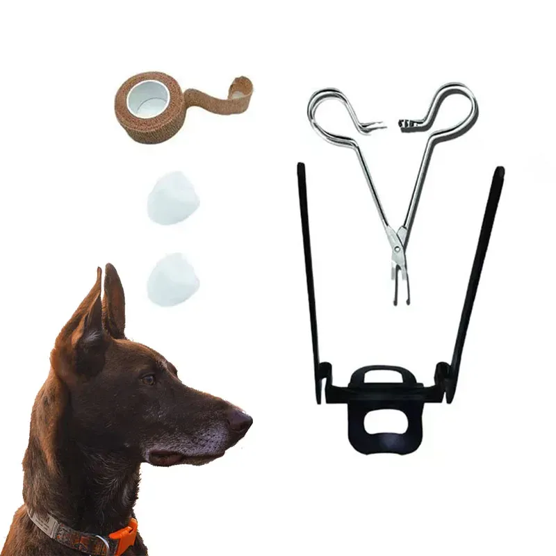 カラードッグイヤースタンドイヤの矯正調整可能なドッグピンシャーの犬の犬の犬の犬のサモイドグレートデーン