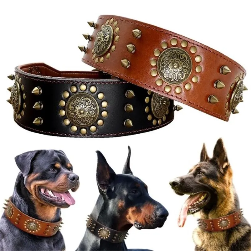 Collier en cuir marron durable pour grands chiens Pitbull, colliers cloutés à pointes pour chiens de taille moyenne et grande, collier en cuir véritable pour animaux de compagnie X0703263u