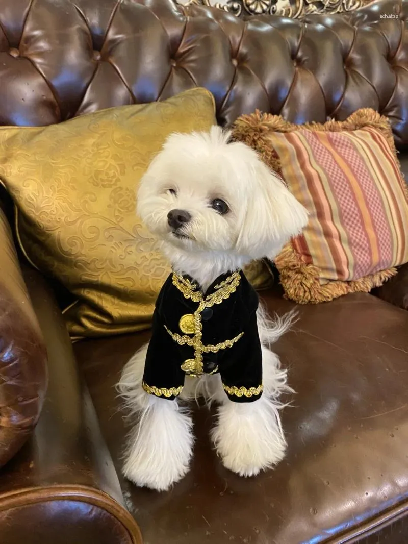 Abbigliamento per cani Abito originale per gatti e abiti maschili in velluto nero da uomo francese Teddy Bichon Pomerania Abiti personalizzati fatti a mano