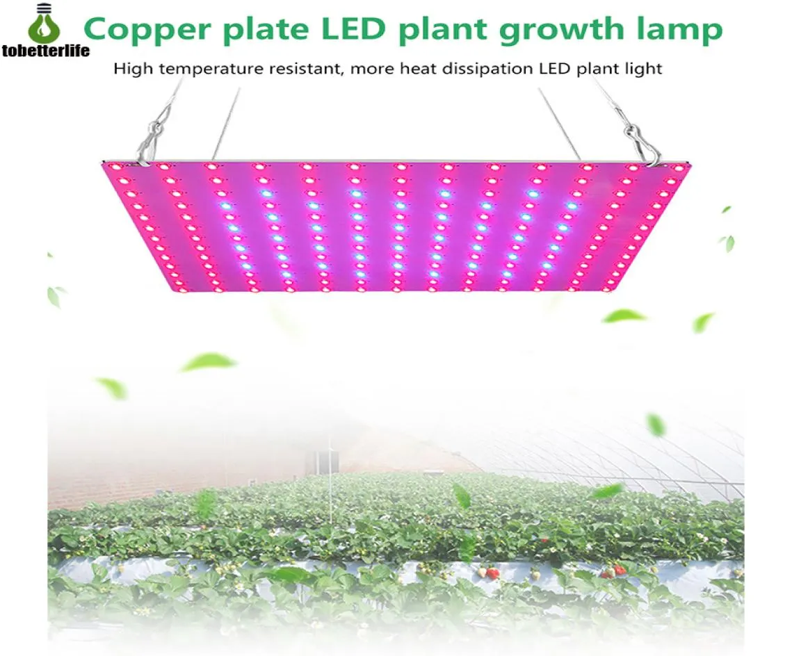 LED植物成長光85265V Phytolamp 2835 81LED 169LED IP20 Non -Waterproof Growth Lighting Full Spectrum Hydroponics Plant Lamp3957526