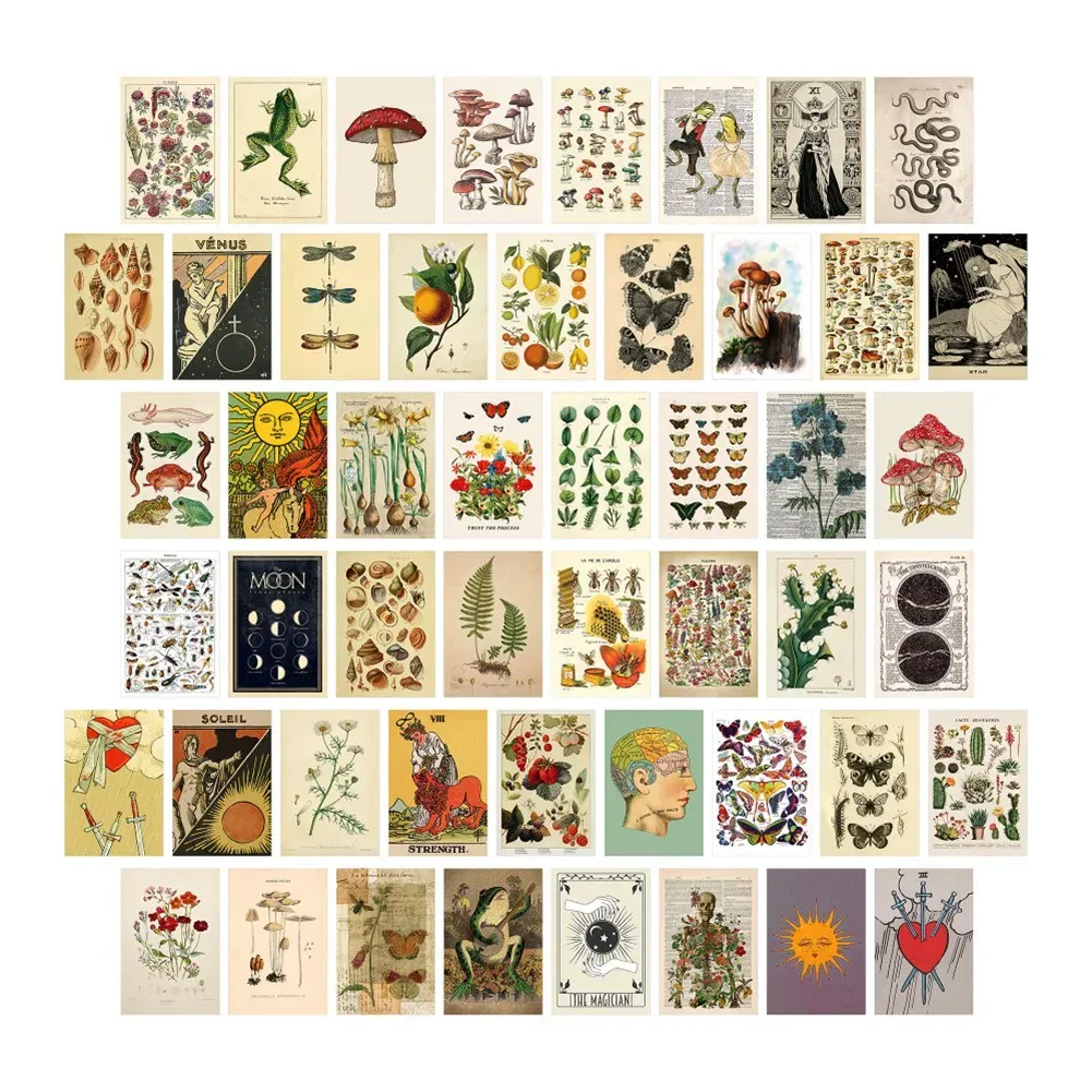 Klistermärken 50st Vintage Botanical Tarot Estetic Wall Collage Kit Flora Fauna Insects Illustration Art Affischer Card Room Decor