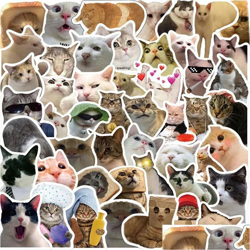 Araba Çıkartmaları 50 PCS İnternet Ünlü Kitty Meme Sticker Komik Kedi ITI DIY LAGE Dizüstü Bilgisayar Kaykay Motosiklet Bisiklet Damlası Teslimat Ot7nh