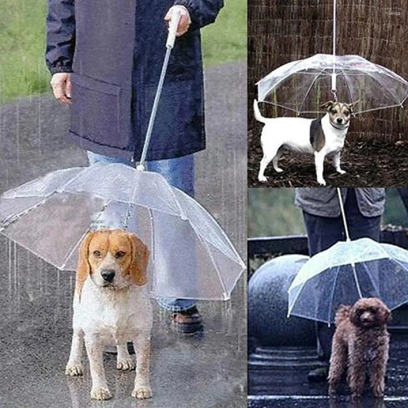 Abbigliamento per cani da passeggio per guinzaglio per animali domestici 2024 Copertura trasparente impermeabile Built-in nevischio da pioggia Ombrello da neve Impermeabili Prodotti Accessori
