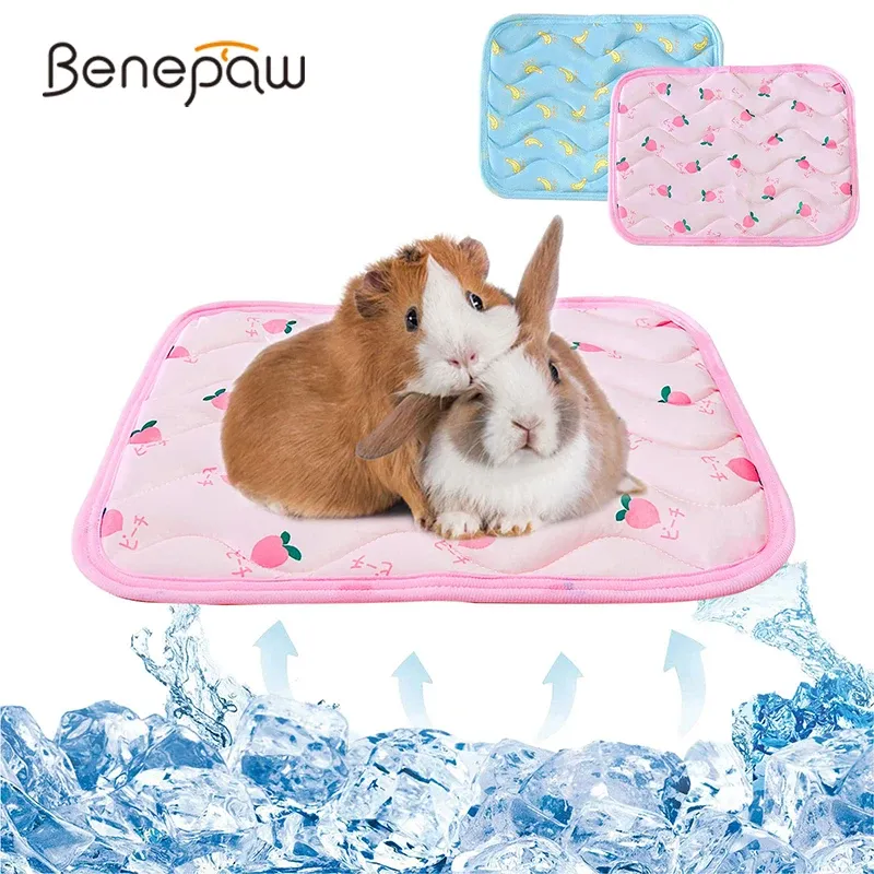 Burar benepaw andningsbar liten djur kylmatta hållbar sommar husdjur kudde sovande säng kudde för kanin marsvin igelkott hamster