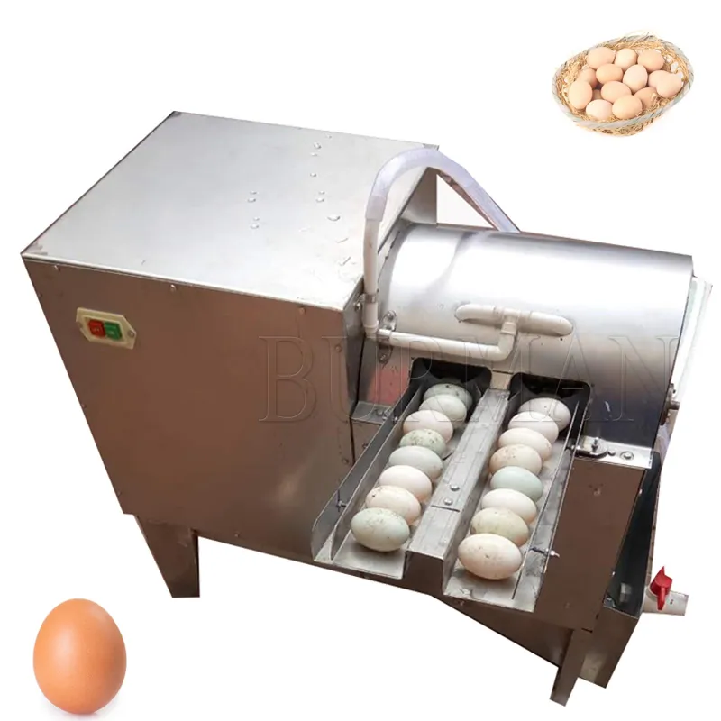 Commercial Electric Duck Egg Washing Machine 550W Poultry Eggs Cleaning Machine Stainless Steel