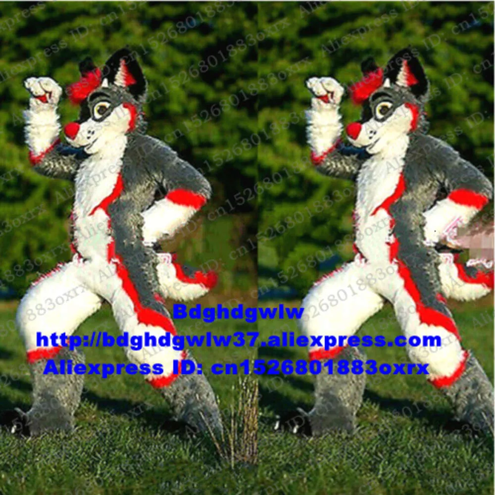 Trajes de mascote cinza longo pele peludo husky cão raposa lobo fursuit mascote traje adulto personagem terno manter como lembrança conferência foto zx3021